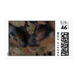 Twin goats postage