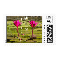 Twin Lillies postage