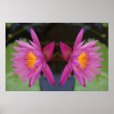 Twin Lotus posters