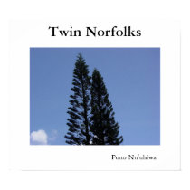 Twin Norfolks posters