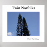 Twin Norfolks posters
