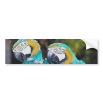 Twin Parrott Bumper Sticker bumper stickers by lapatrick1161 Twin Parrott Bumper Sticker bumper stickers