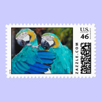 Twin Parrott Postage Stamp stamps