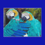 Twin Parrott Postcard