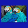 Twin Parrott Poster