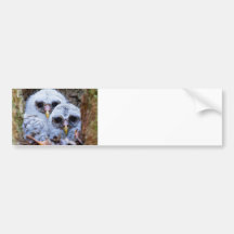 Twin Peeps Bumper Stickers