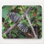 Twin pine Cones  Mousepad