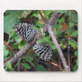 Twin pine Cones  Mousepad