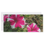 Twin pink flowers full color rack card