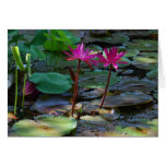 Twin Pinks Greeting Cards