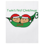 TWIN POD Christmas 2009 flyers
