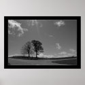 Twin Trees Mountain Meadow Photo Poster print
