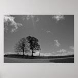 Twin Trees Mountain Meadow Poster posters
