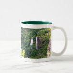 Twin Waterfalls Coffee Mugs