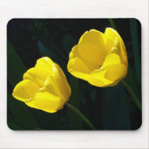 Twin Yellow Tulips mousepads