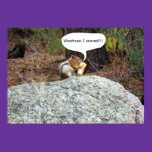Twinkie Eating Chipmunk Poster posters