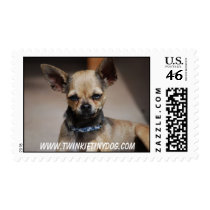 TWINKIE TINY DOG postage by twinkietinydog TWINKIE TINY DOG postage