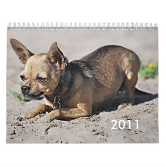 Twinkie's 2011 Academic Calendar calendar