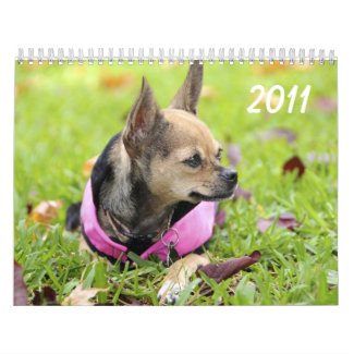 Twinkie's Chihuahua Calendar 2011 calendar