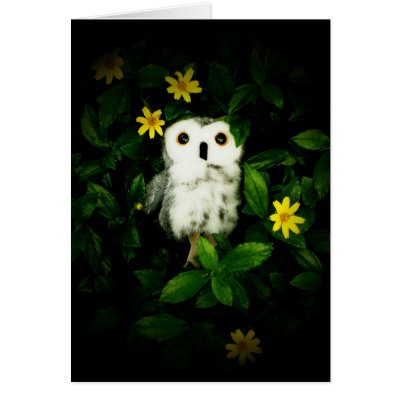 Twinkle Twinkle Little Stars Cards by Heartworks