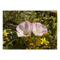 twins greeting card