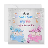 Twins Gender Reveal Party Boys Girls Blue Pink Personalized Announcement