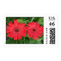 Twins! postage