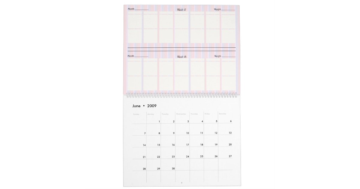 Twins Pregnancy Calendar Zazzle