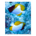 Twins posters by hilory10028 Twins posters