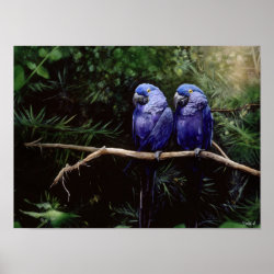 Twins Print (<em>$13.95</em>)
