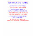 Twins Questions Fraternal t-shirts
