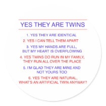 Twins Questions Identical Sticker