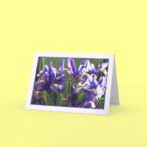 Twirl Iris Photo Greeting Card cards