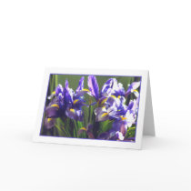 Twirl Iris Photo Greeting Card