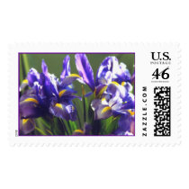 Twirl Iris Photo Stamp