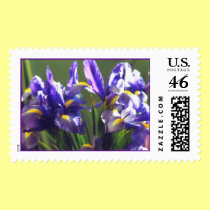 Twirl Iris Photo Stamp stamps