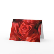 Twirled Roses cards by pshaw_photo Twirled Roses cards