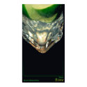 Twist of Lime posters