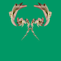 Twisted Amalyllis ~ T t-shirts