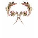 Twisted Amalyllis ~ T t-shirts