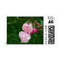 Twisted Beauty postage by designcreatology Twisted Beauty postage