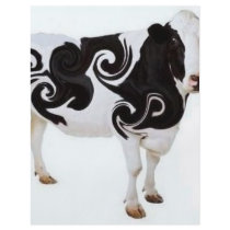 Twisted Cow Design Flyers