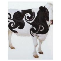 Twisted Cow Design Letterhead Design
