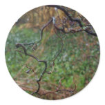 Twisted Hazel stickers