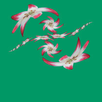 Twisted Lily 1 ~ T t-shirts