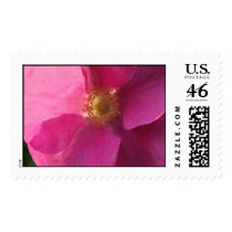 Twisted Rose Petals postage by designcreatology Twisted Rose Petals postage
