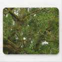 Twisted Tree mousepads by katmouse47 Twisted Tree mousepads