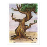Twisted Tree Postcard