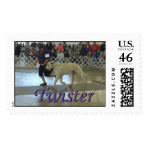 Twister and Donna 12-05-09 Stamps