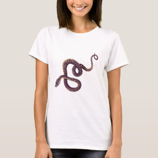 herpetology shirts